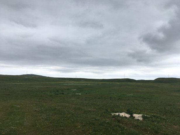 It’s Latha nam Machraichean on Sunday. What’s your favourite machair? Mine is Machaire Hòstadh, the half-bottle-down-a-rabbit-hole capital of North Uist.