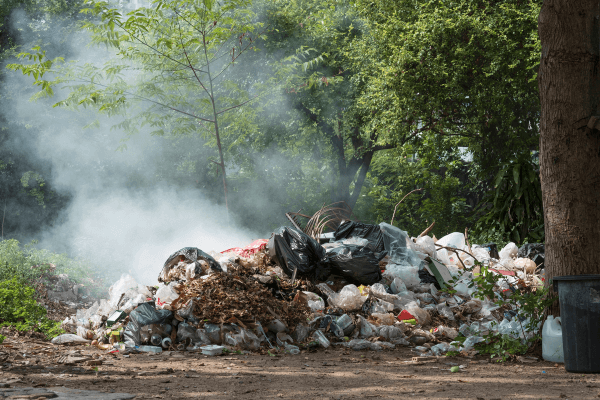 Catorce 6 tweet media