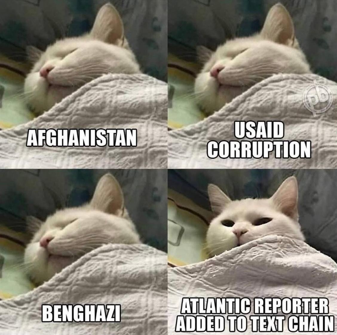 notstoya's tweet image. 