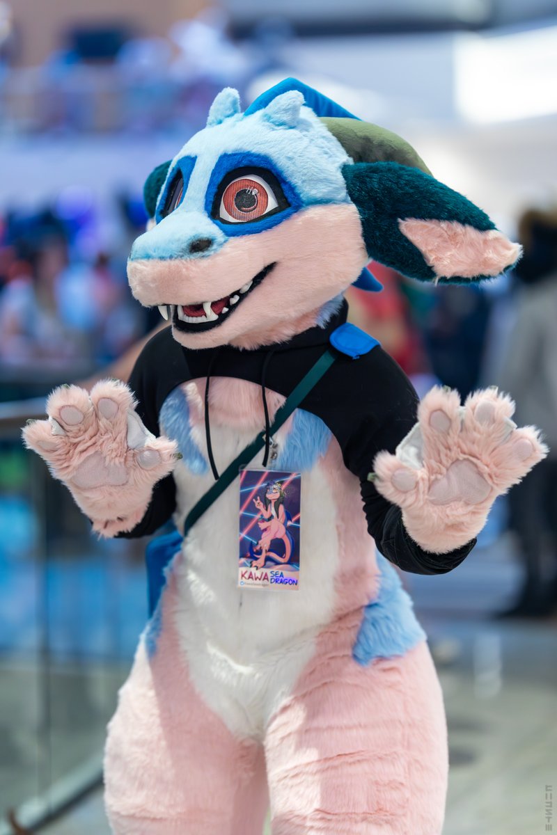 Been nearly a year since I've been to a con (last year's FWA!)

I'm already itchin' to fursuit, I hope to see many of y'all there &lt;3
#FursuitFriday