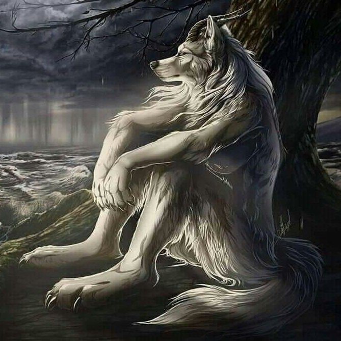 LynxPompom's tweet photo. 📌 #Cain siempre entendió la puta vibra: https://t.co/kRN8hRcQpL
