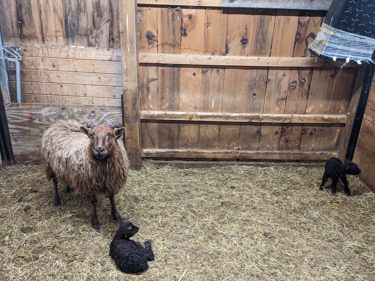 travis4nh tweet media