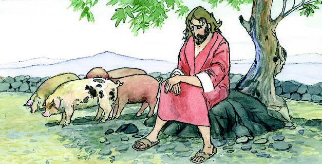 Norteño en Los Altos. tweet media