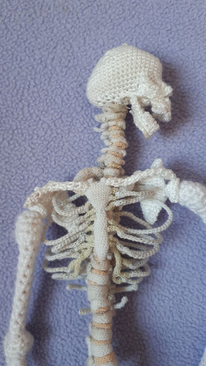 knithacker's tweet image. Crochet an Anatomically Correct Skeleton - FREE Pattern Includes All 206 Bones, 1/5th Size Scale Model! 👉 buff.ly/xzBO5bv #crochet #handmade #freepattern 💀