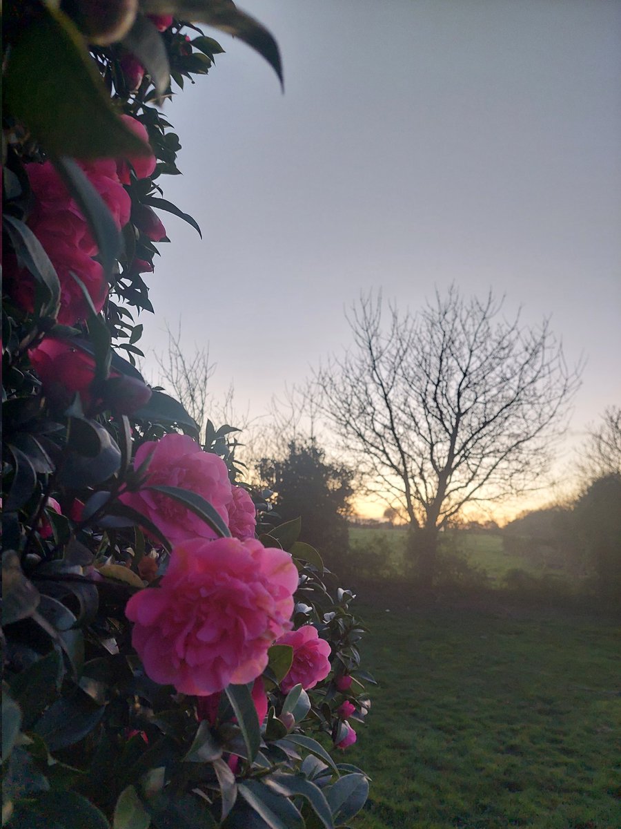 Fin de journée et fin de semaine ! 
Bon week-end à tous ! 
#Printemps #Bretagne #FrAgTw