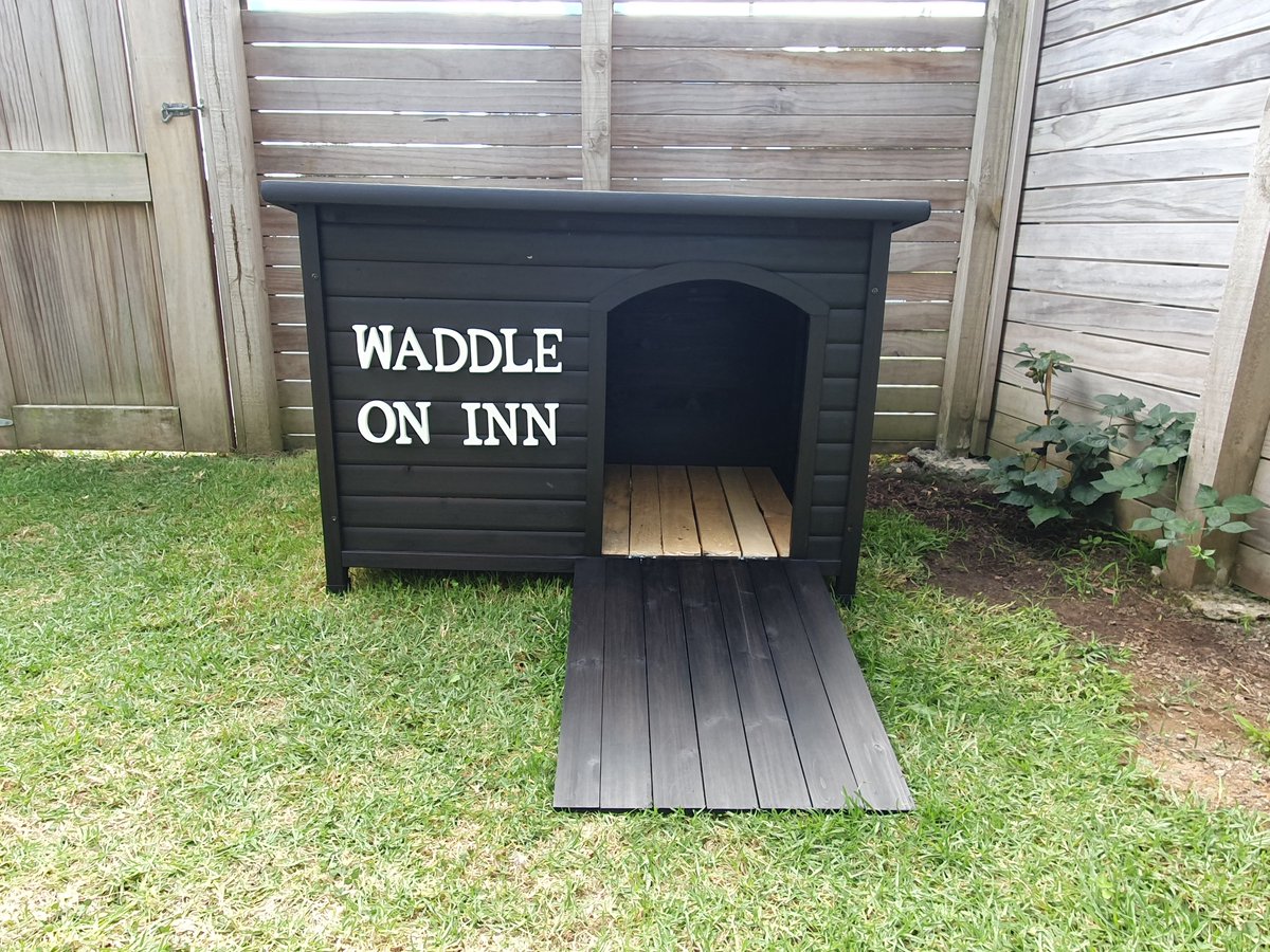 kate_overend's tweet image. #urbanfarmer #ducks #fresheggs
Here is duck house I have customised from a dog kennel. It has a big wire window in the back for ventilation a door/ramp and lift up lid for cleaning. I will be planting lots of edible bushes around it and spreading hay on the floor.