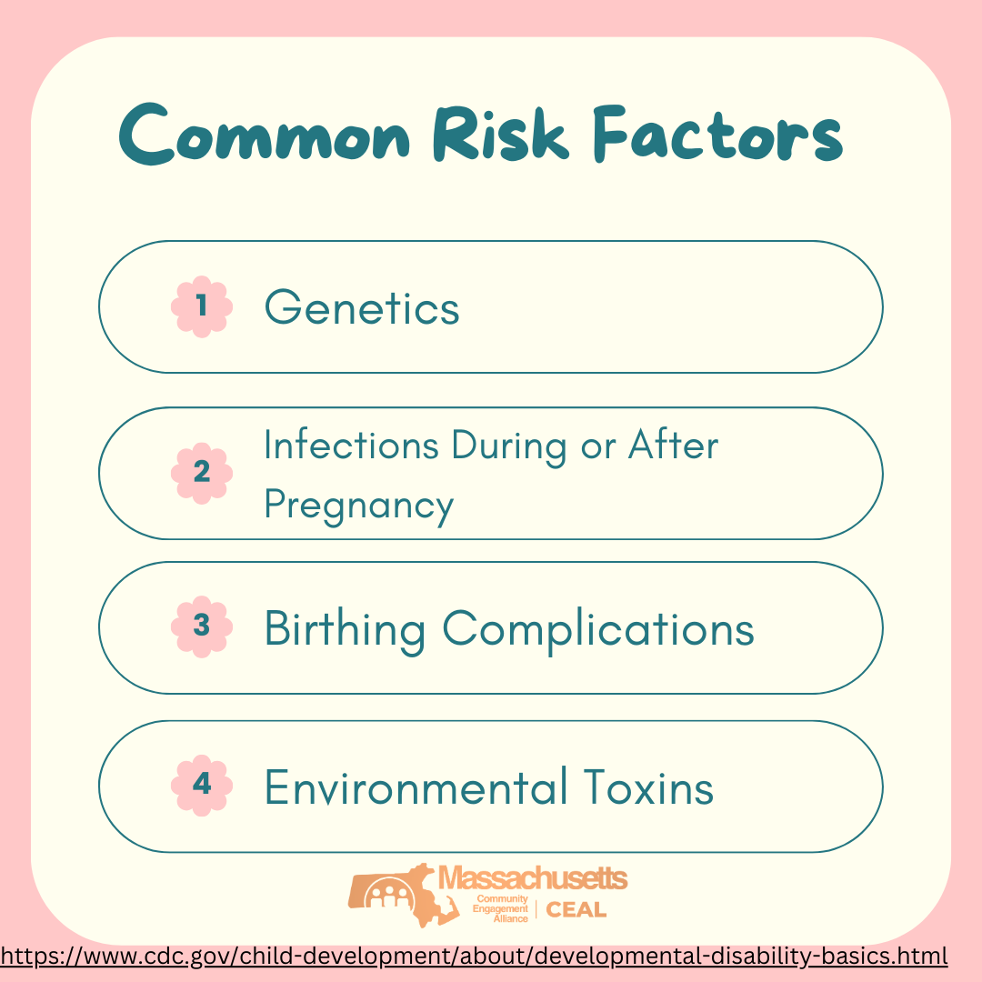 Massachusetts CEAL tweet media