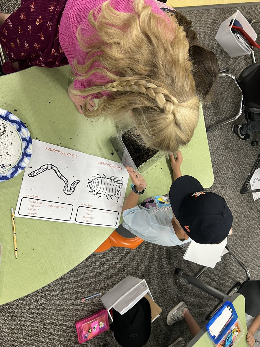 Hands on, minds on! Our 1st graders are learning about isopods! #curiosity #studentownership #1LISD