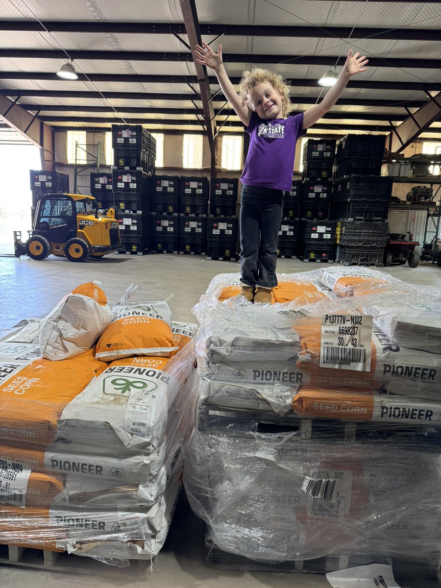rockormiston2's tweet image. Milas a fan of bags over proboxes! Planting is just around the corner. @PioneerSeeds