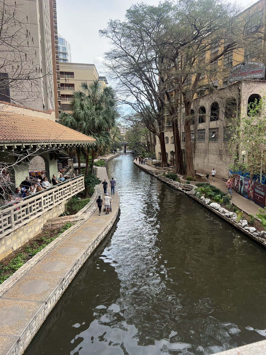 Noa Dalzell 🏀 tweet media