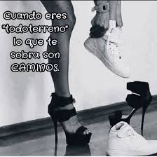 moleculis tweet media