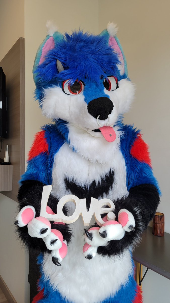 Feliz #FursuitFriday 
Siempre Rosca, siempre Derp y cariñosa 🥰mucho LOVE