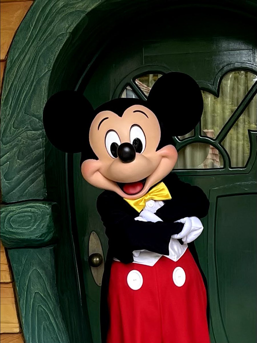 TheMagicForLess's tweet image. Meet your faves at Disneyland Resort!  ✨ #Disneyland #MagicalMoments #DisneyCharacters