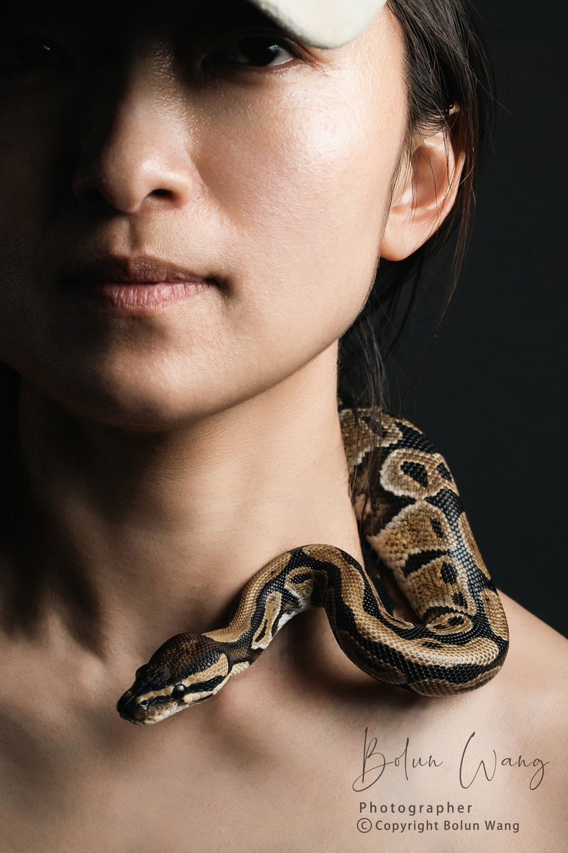 小島樹 tweet media