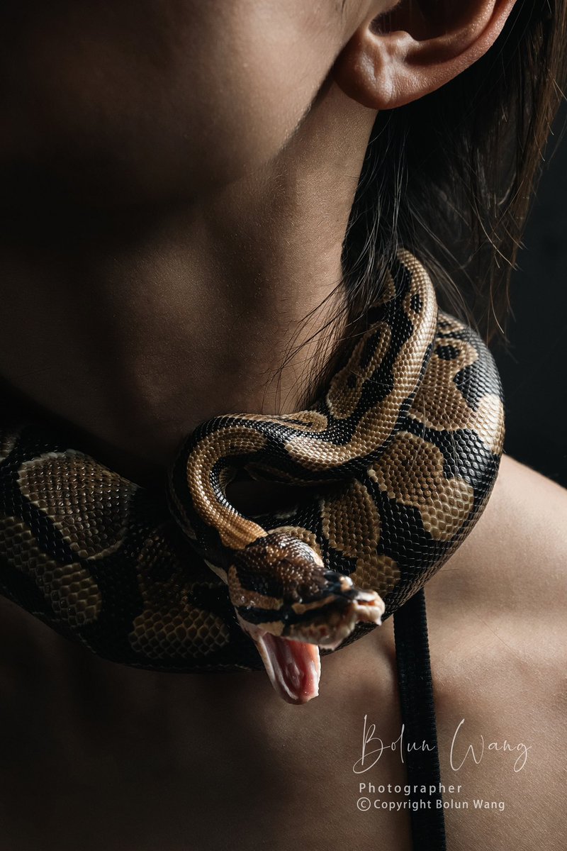 小島樹 tweet media