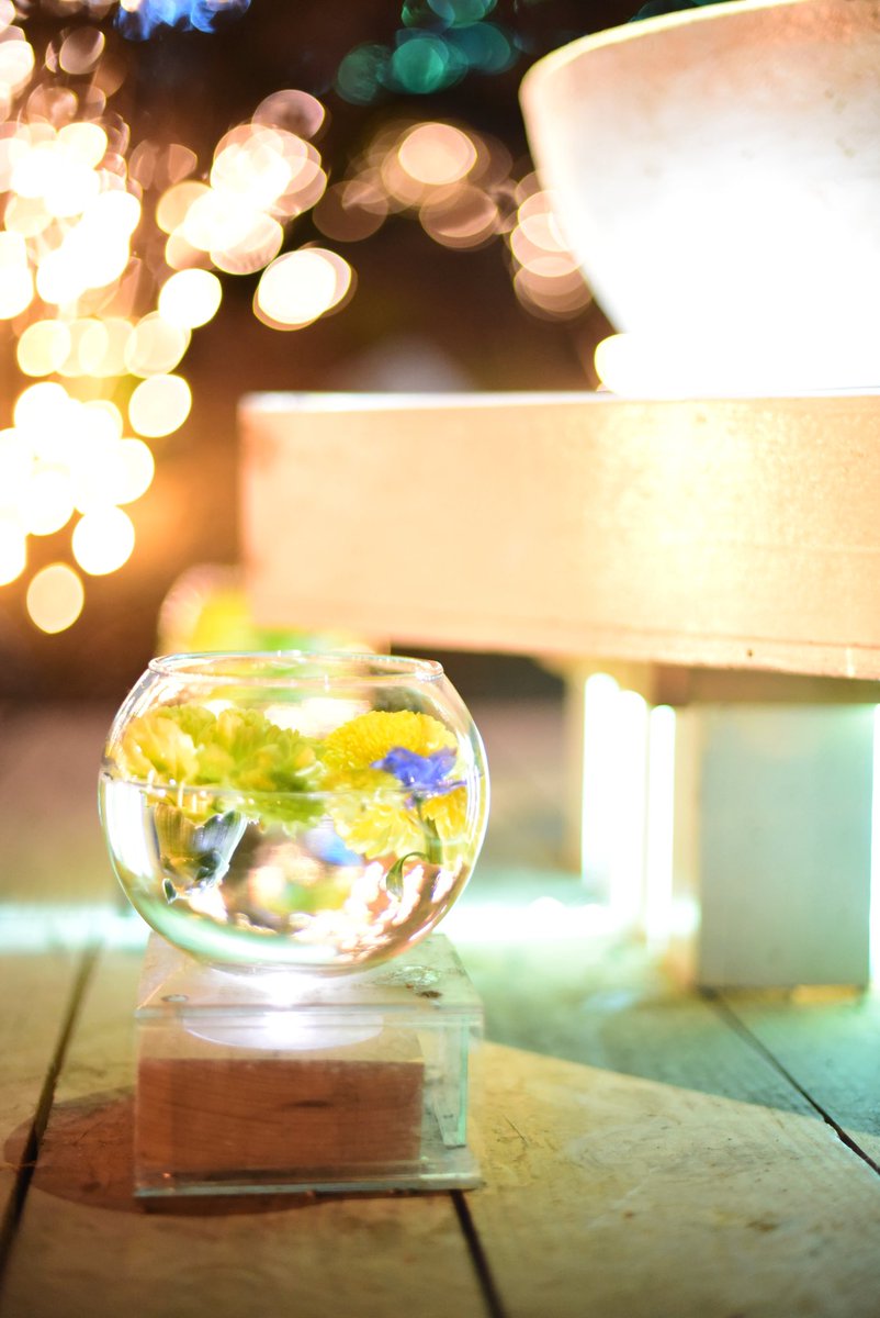 mokama_camera's tweet image. あしかがフラワーパーク❁⃘*.ﾟ