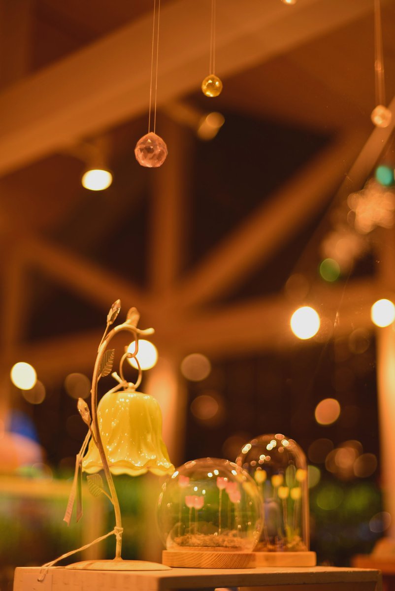 mokama_camera's tweet image. あしかがフラワーパーク❁⃘*.ﾟ