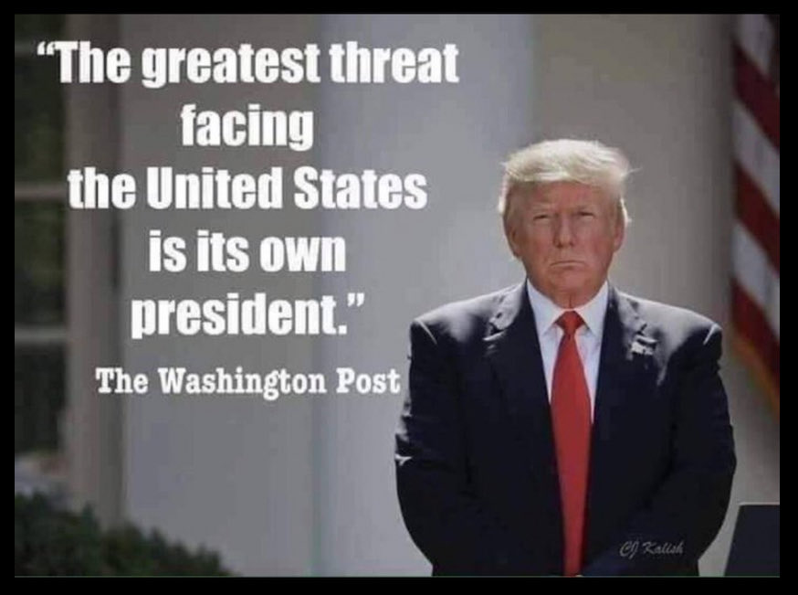 kangaroos991's tweet image. YES or no? ⤵️