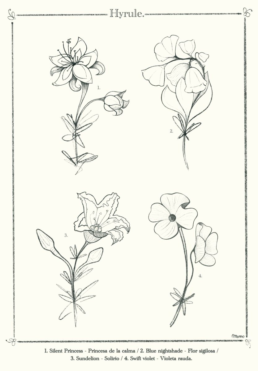 ItsMartaHere's tweet image. Hello Hyrule and Zelda fans 🤍 #ProcreateArtist