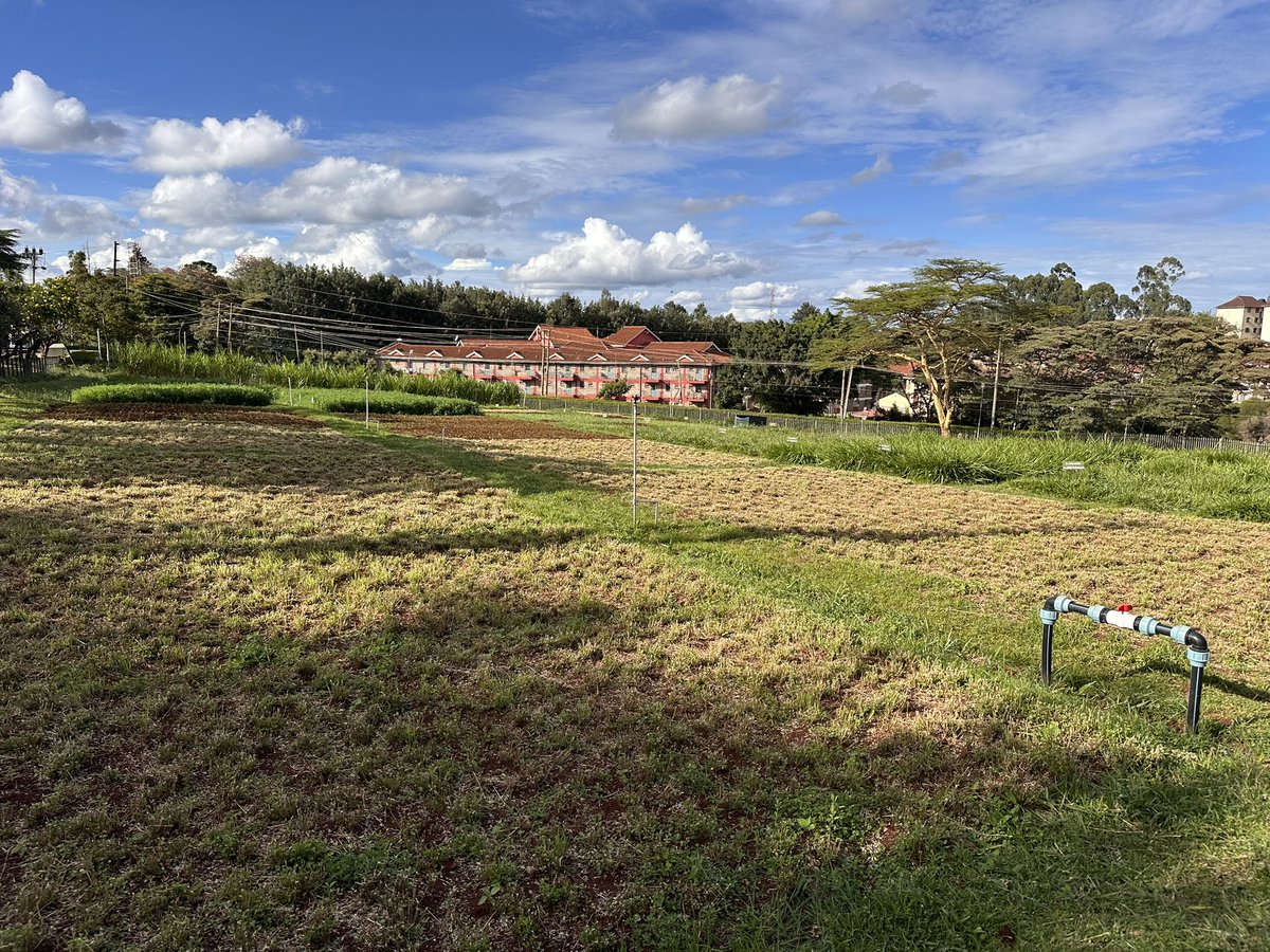 Bruno Pedreira tweet media