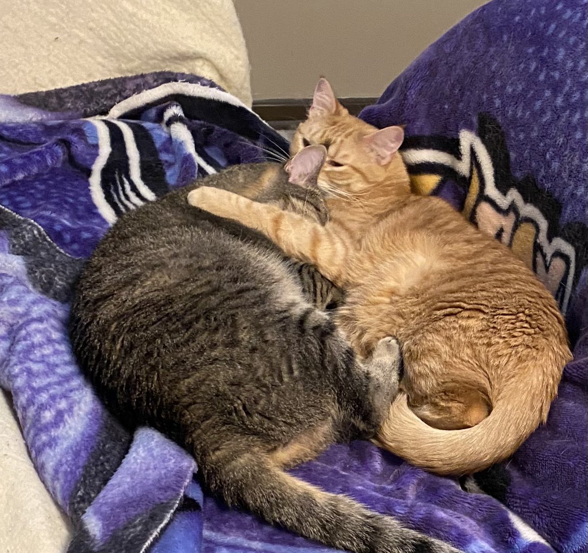 Couple photos of the boys while we celebrating!