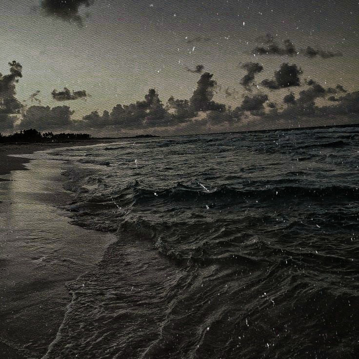 ‍.ᐟ ᅟ ◌ ⓸ 𝕱𝚁𝙰𝙽𝙺𝙻𝙸𝙽 𝕽𝙸𝙲𝙷𝙰𝚁𝙳𝚂 tweet media