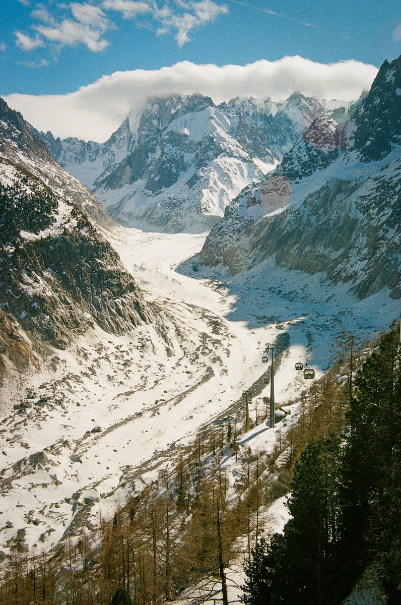 Andrew Purcell tweet media