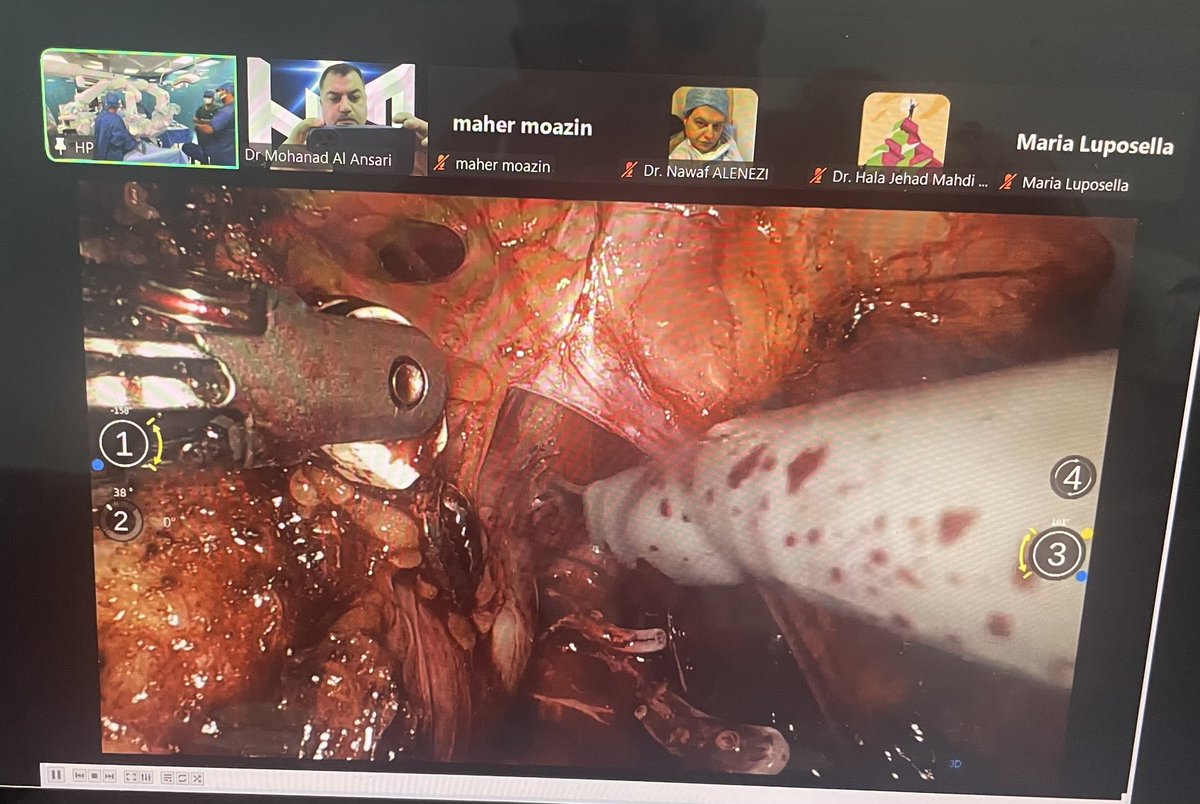 *Metaverse surgical Hospital, Robotic Surgery Academy , USA 
* Microport , Medbot, Toumai , Robotic Surgical system 
* AI , Meta , space , Medicine research center, Magna Graecia University , Italy 
* ⁠littoral Hospital, Casablanca, Morroco 
* AI, Robotic Surgery Workshop