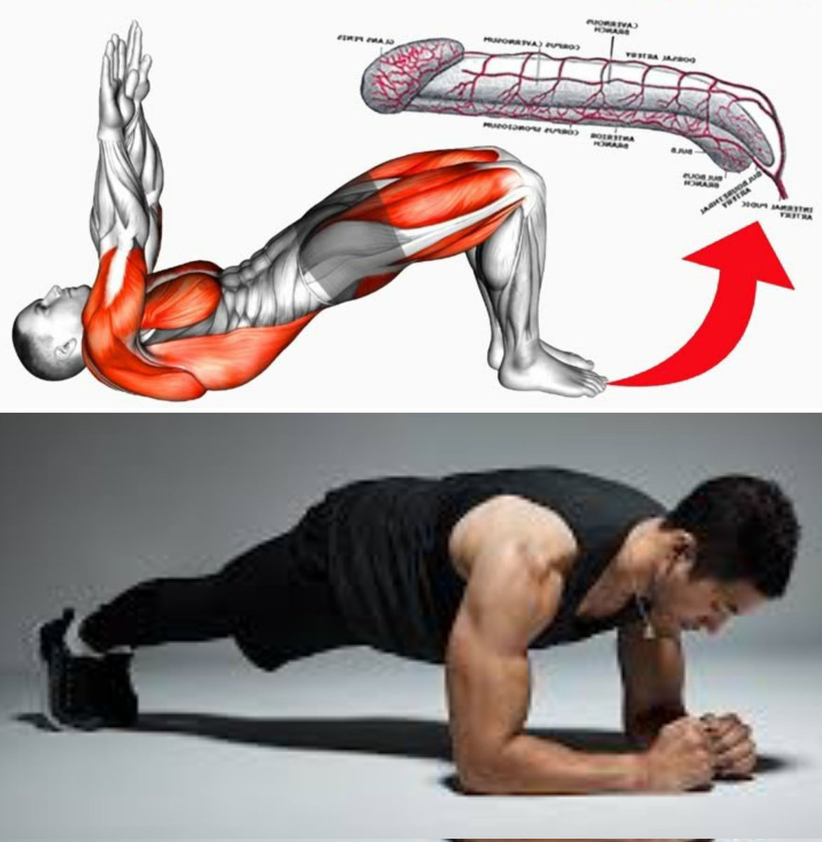 wisre5n's tweet image. إذا كنت تعتقد أن الدقيقة وقت قصير ،
فأنت بالتأكيد لا تعرف هذا التدريب

تمارين البلانك تساعد على القدرة الجنسية وتقوية أعمق طبقة في عضلات البطن وزيادة القدرة على التحمل، ومن ثم يحسين الأداء الجنسي، خاصةً عند ممارسته أكثر من مرة يوميًا