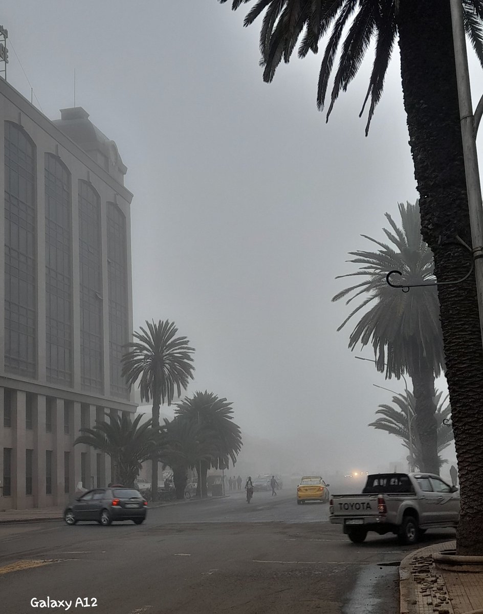 Mozmel_cop's tweet image. Asmara dump ❤️