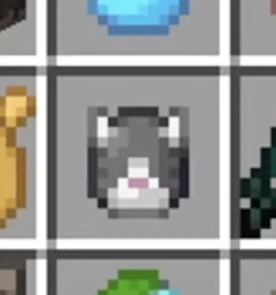 i’m sobbing because Mojang modeled the new cat spawn egg after Jellie😭
