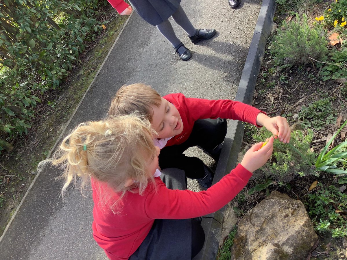 Grove Lea Primary tweet media