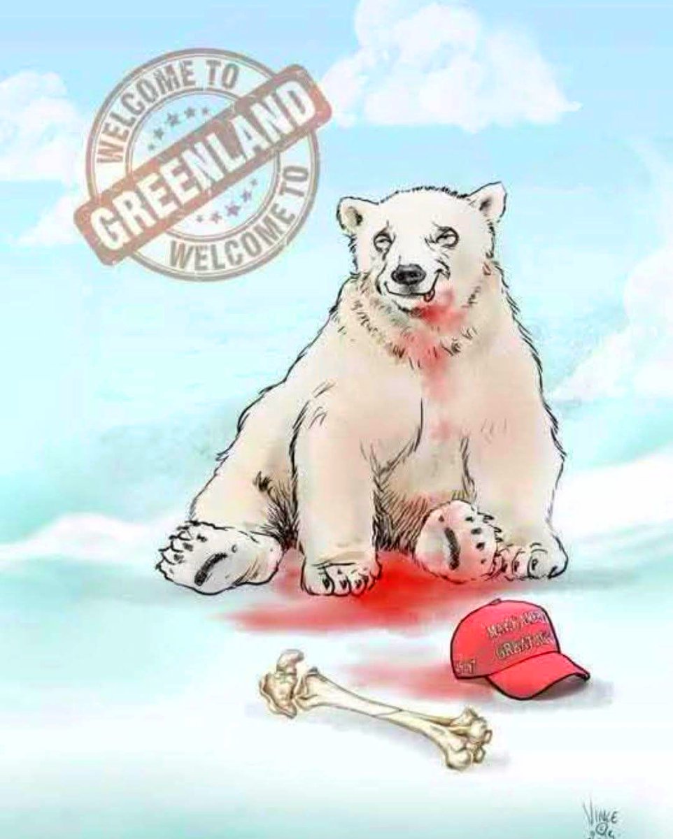 LorenzoTheCat's tweet photo. And now a message from a Greenland polar bear. https://t.co/jqmWOm9zyK