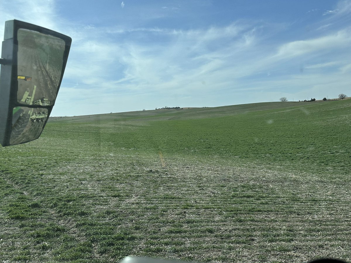 Ethan Zoerb tweet media