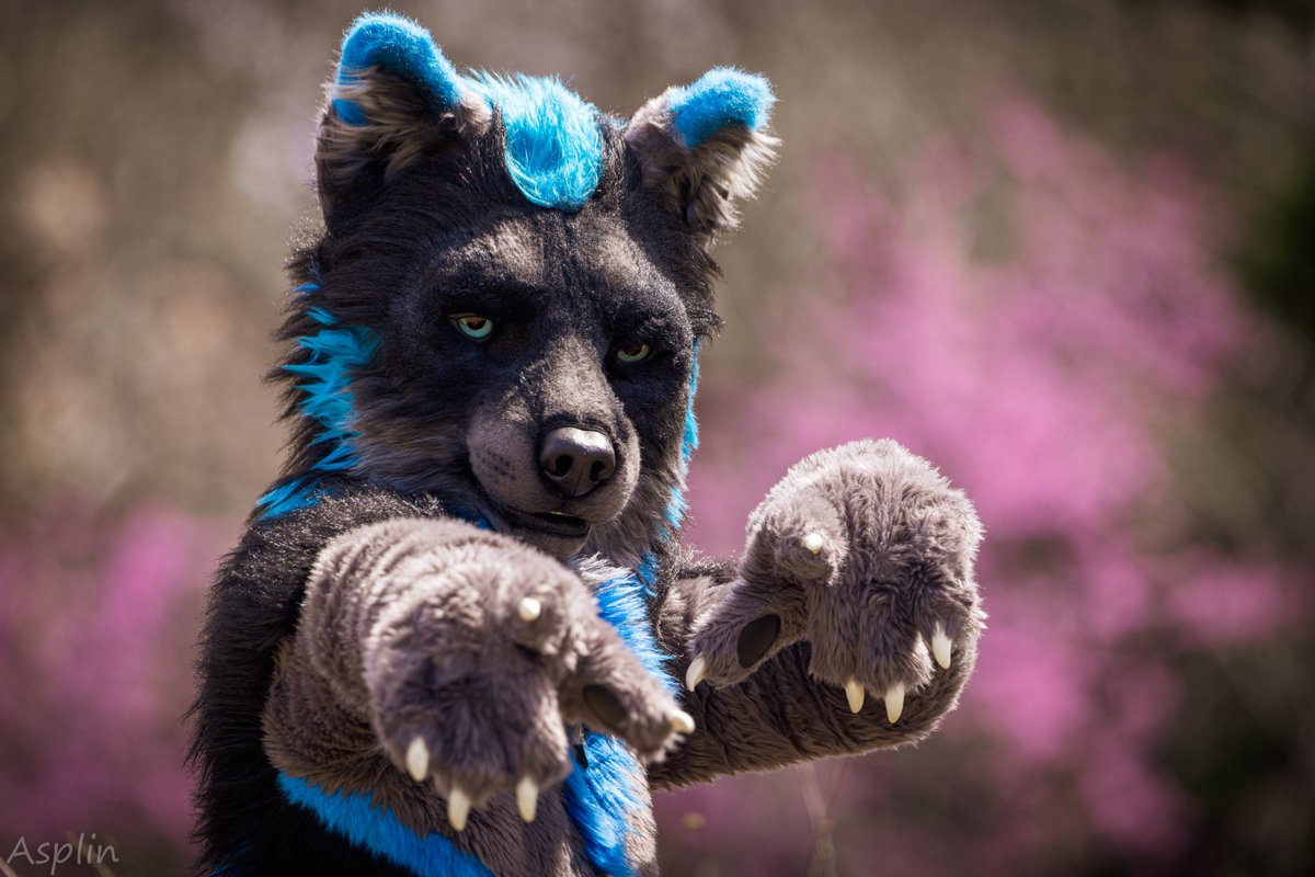 Spring is here, and the wolves are out hunting. You're next!🌸
✂: <a href="/mixedcandy/">Mixedcandy Inc</a> 
📷: <a href="/asplinduh/">Asplin</a>