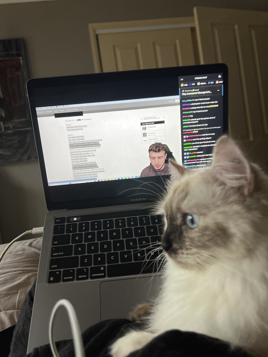clarkeysbrina's tweet photo. she’s being educated on tank gang 
(she’s not impressed) https://t.co/sxmuq0M1z8