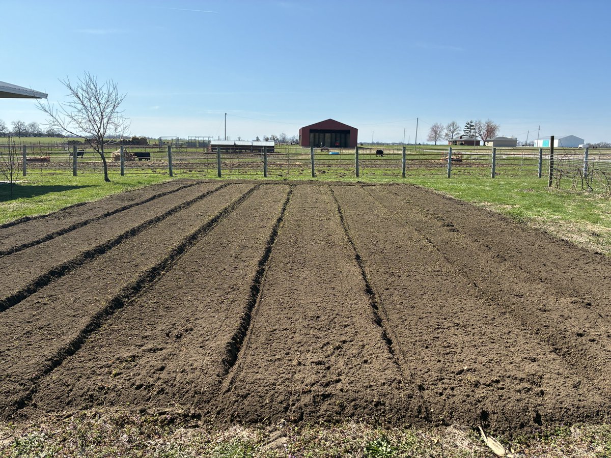 kostertsd's tweet photo. 2nd garden of 2025 covered in thick clover grass, but it tilled up well. I always till three different directions at full depth on existing gardens to blend it up for a minimum 1st hour charge of $75.00! https://t.co/lWCZQgoytu