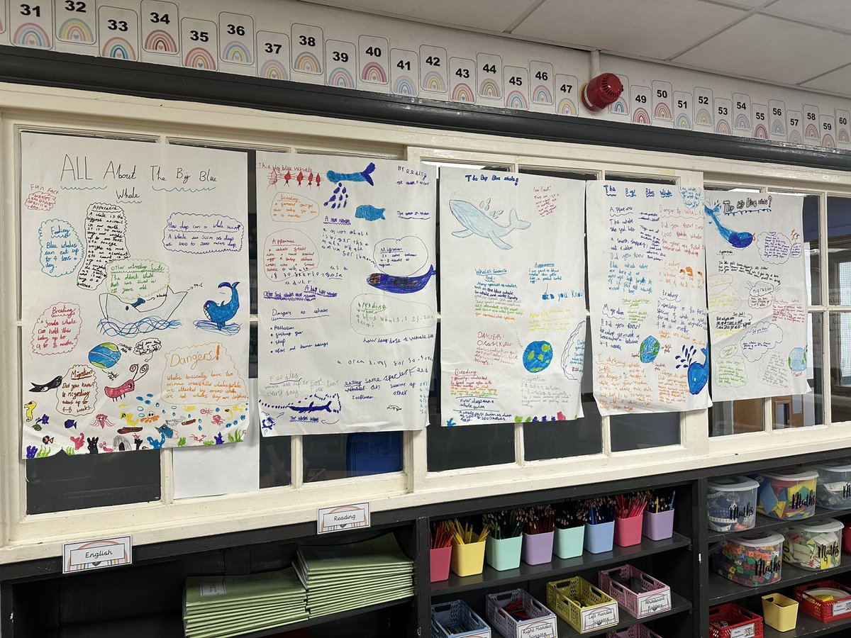 OwstonPPA's tweet image. Year 3’s classroom is filled with fantastic Big Blue Whale fact posters as part of their Pathways unit. They have been exploring the world’s largest animal, learning all about its size, diet and deep-sea songs! 🐋🐳

#BigBlueWhale #ScienceLearning #Pathways