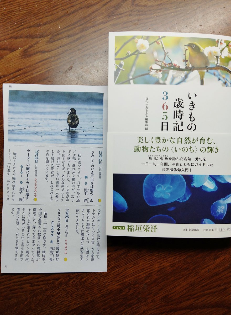 『いきもの歳時記365日』が届きました。
12月24日に、僕の句が掲載されています。
＜セーターの胸にトナカイ行進す　金子敦＞
「行進す」という表現を褒めていただき、
めっちゃ嬉しいです～！(^^)