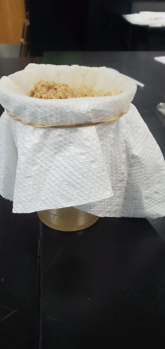 This past Tuesday, the students modeled the main functions of the digestive system.