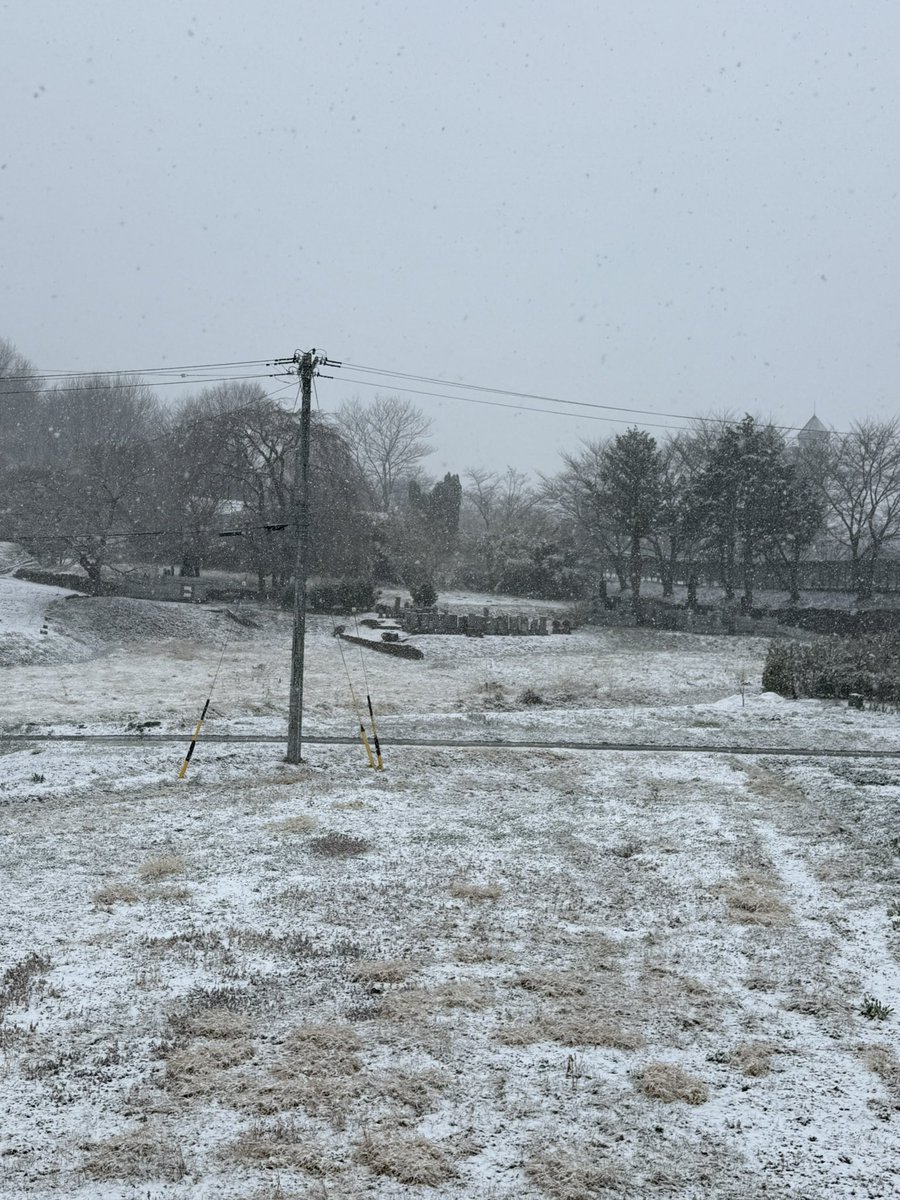 いや！朝から雪！昨日夏から本日冬！
