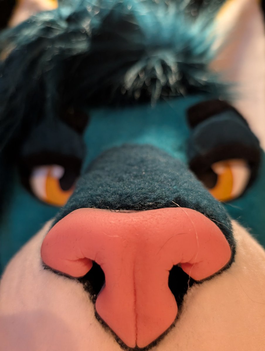 *sniffs you aggressively³*