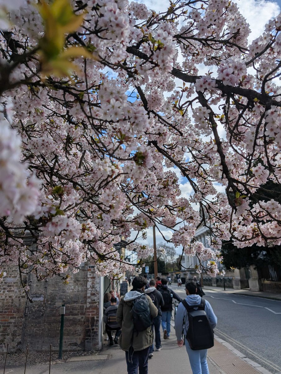 Sophia Yang, Ph.D. (@sophiamyang) on Twitter photo 🇬🇧<a href="/MistralAI/">Mistral AI</a> team in <a href="/Cambridge_Uni/">Cambridge University</a>. We are hiring in London (and ofc Paris and the US). Join us!
Photo credit: <a href="/andylolu24/">Andy Lo @ NeurIps 2024</a> <a href="/mjmj1oo/">margaret jennings</a> 🇬🇧<a href="/MistralAI/">Mistral AI</a> team in <a href="/Cambridge_Uni/">Cambridge University</a>. We are hiring in London (and ofc Paris and the US). Join us!
Photo credit: <a href="/andylolu24/">Andy Lo @ NeurIps 2024</a> <a href="/mjmj1oo/">margaret jennings</a>