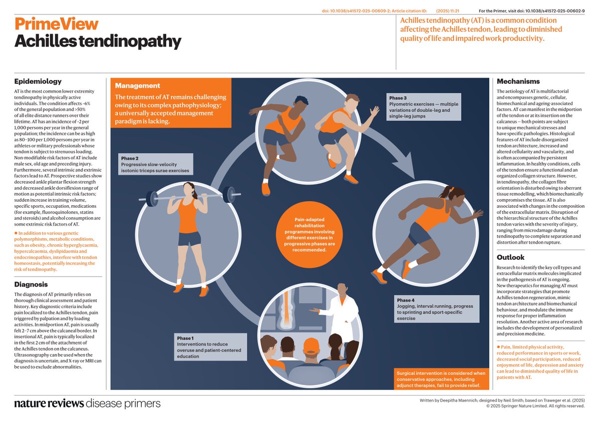 Just published in "Nature Reviews Disease Primers" 🔥

Achilles tendinopathy 🦶

nature.com/articles/s4157…