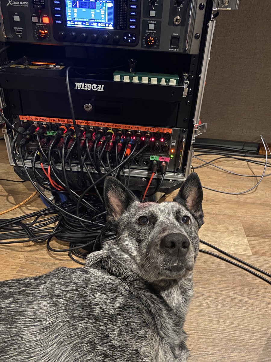 jango is supervising today