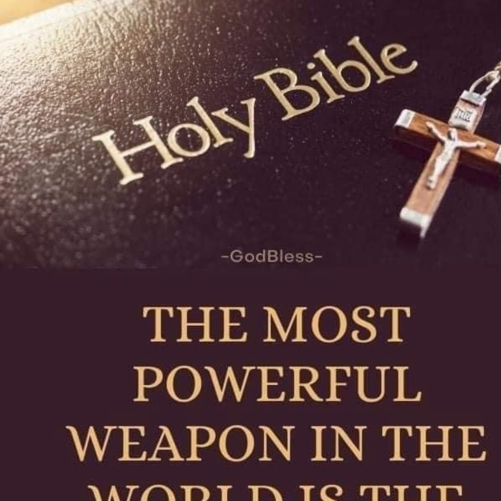 sambujang389968's tweet image. 