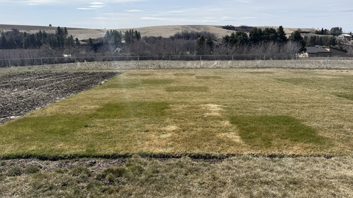 faishal khan tweet media