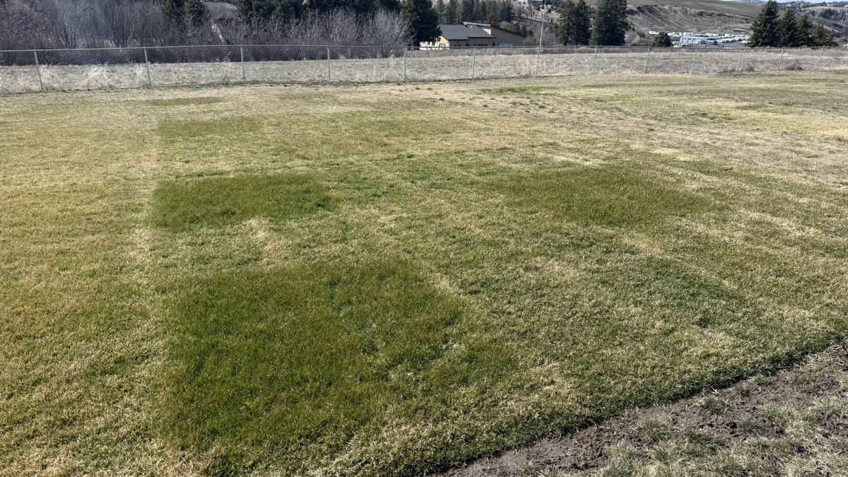 faishal khan tweet media