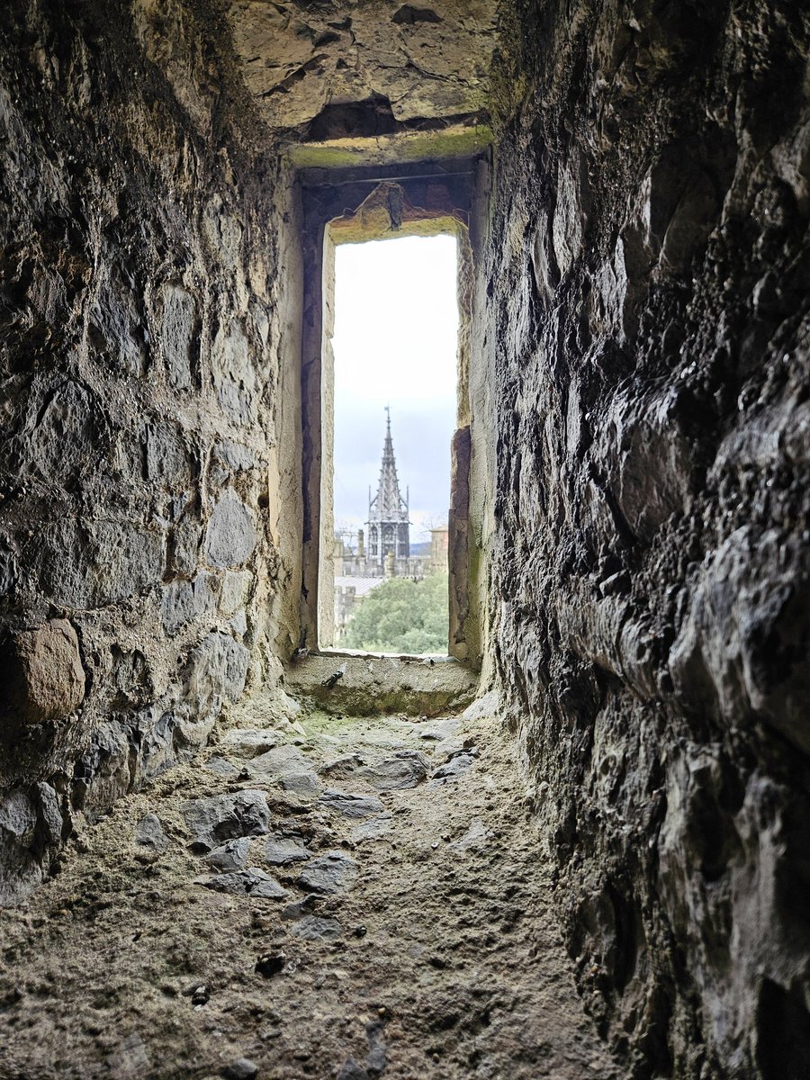 Faraz Khan tweet media