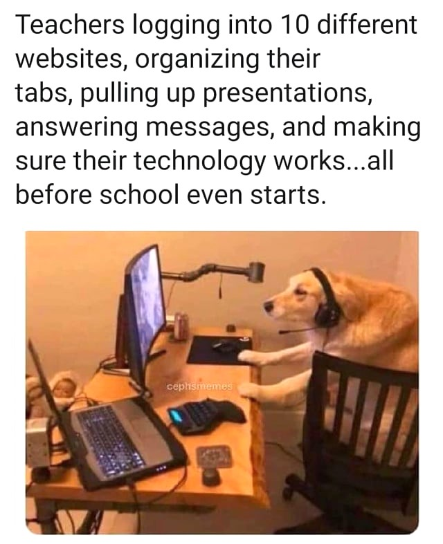 WholesomeMemes tweet media